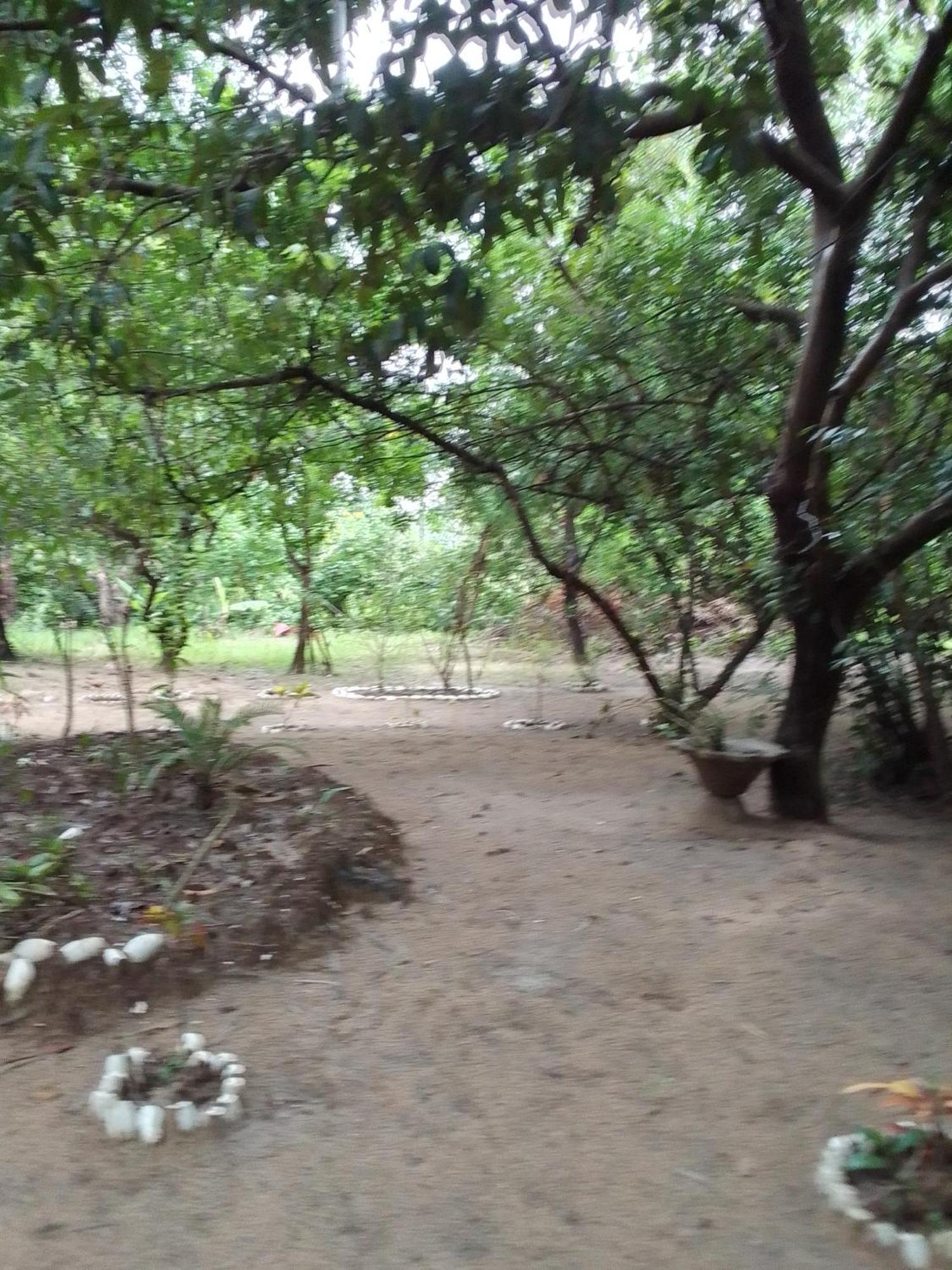 Abémé Little Baobab B&B 외부 사진